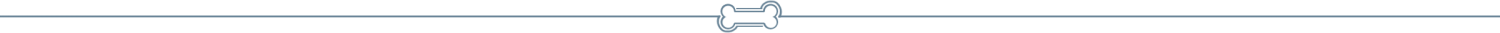 Bone Divider